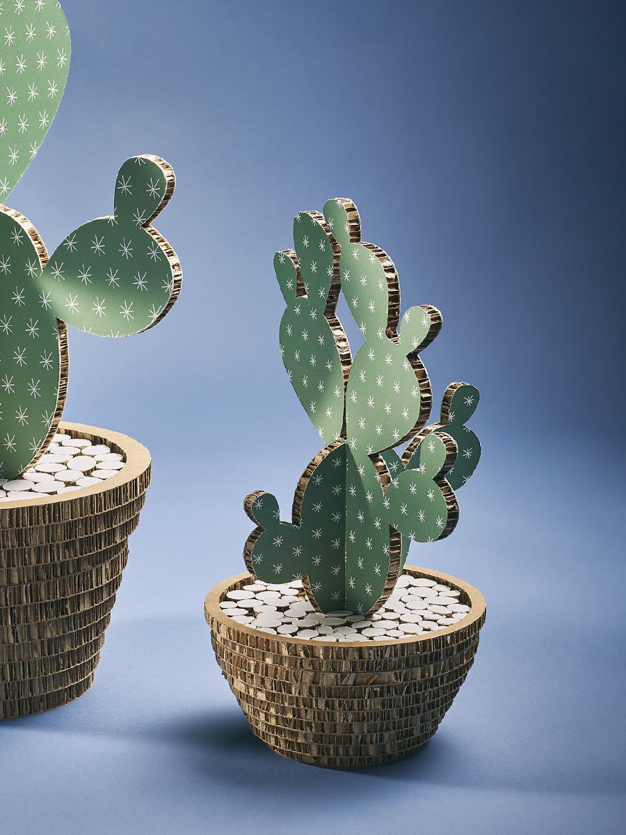 cactus in cartone alveolare