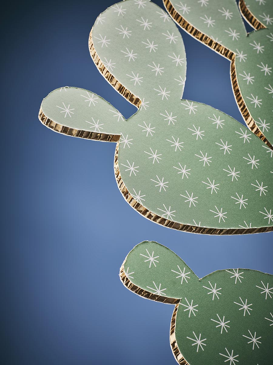 cactus in cartone alveolare