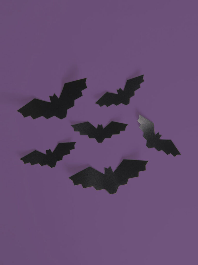 Set 6 pipistrelli adesivi