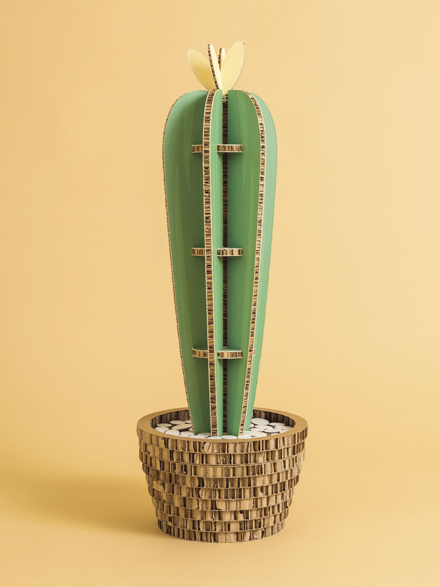 cactus in cartone