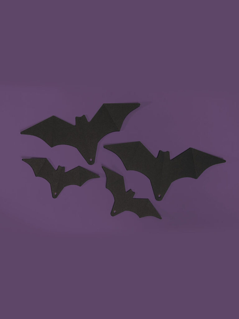 Famiglia di 4 Pipistrelli in cartoncino