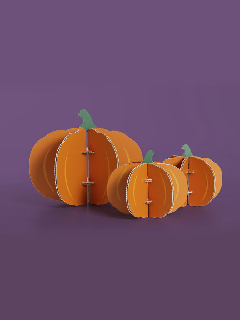 Set 3 zucche 3d
