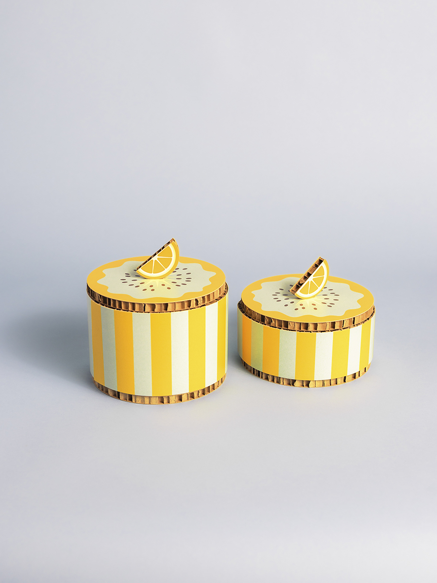 Box sorbetto verde menta e giallo limone set 2 pz