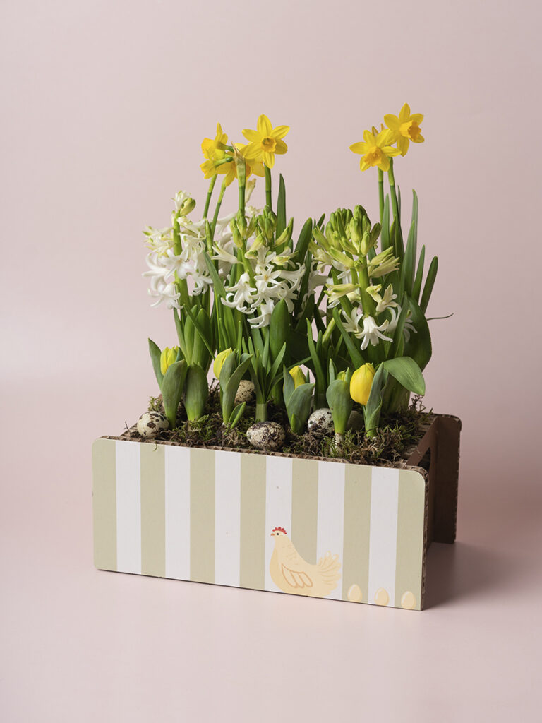 Cassettina bianca e verde set 2 pz