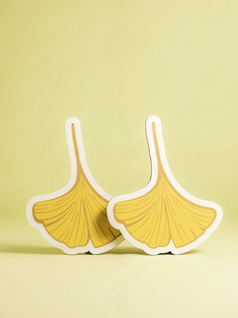 Sagome Foglie Ginkgo autunnali set 2 pz