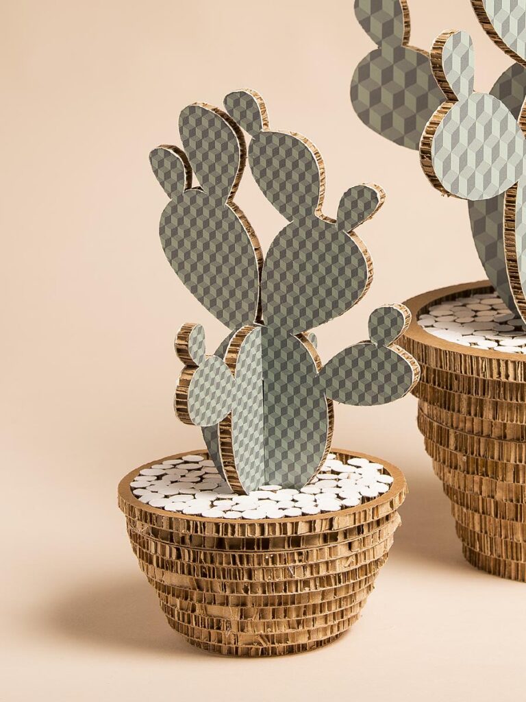 Cactus Cube Salvia