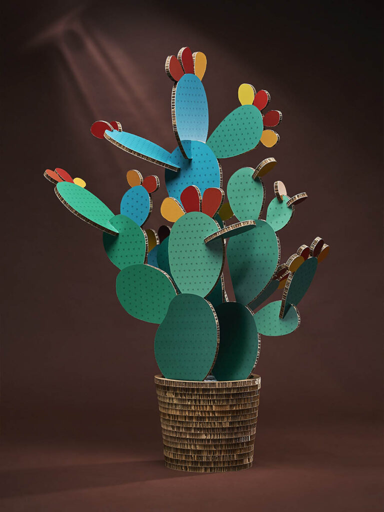 Cactus Fico d'India - XL