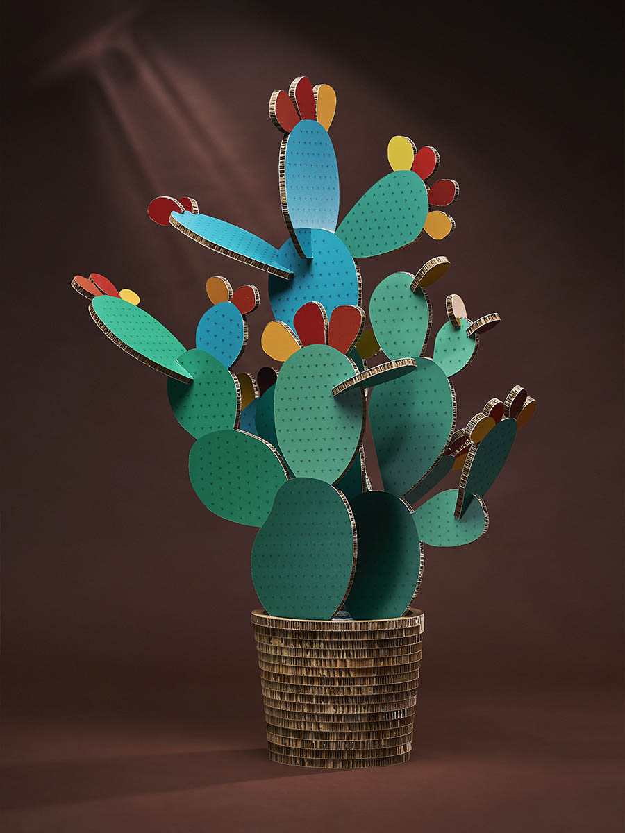 Cactus Fico Dindia Misura Extra Large 1 in cartone alveolare Honeycomb Design