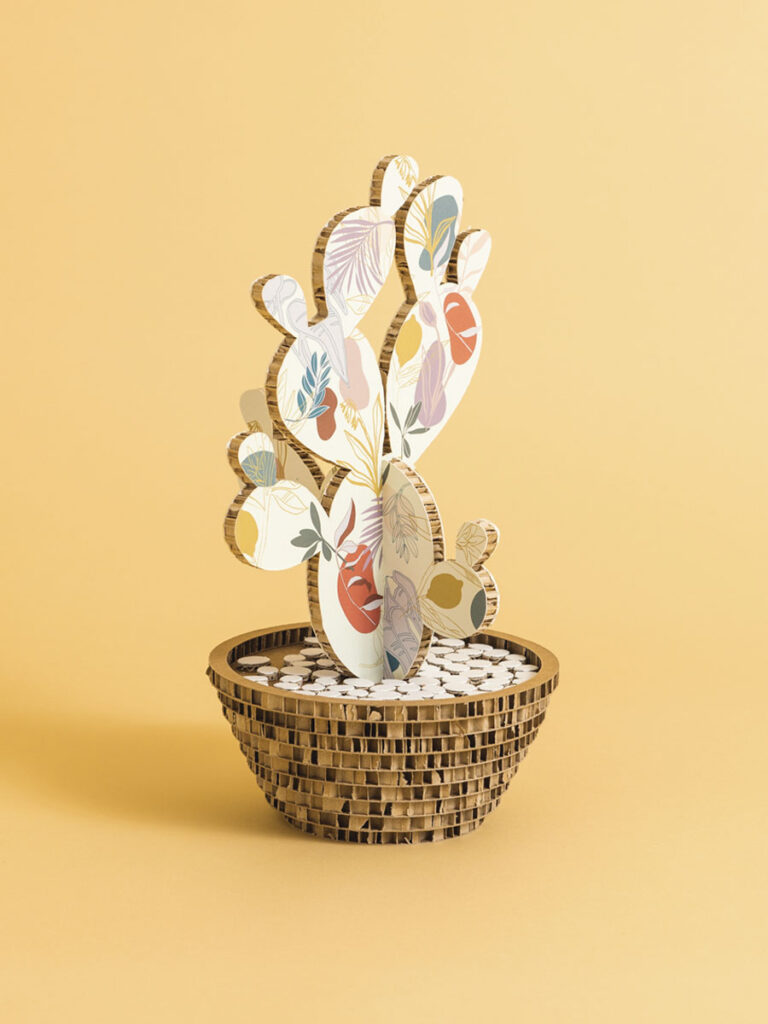 Cactus garden