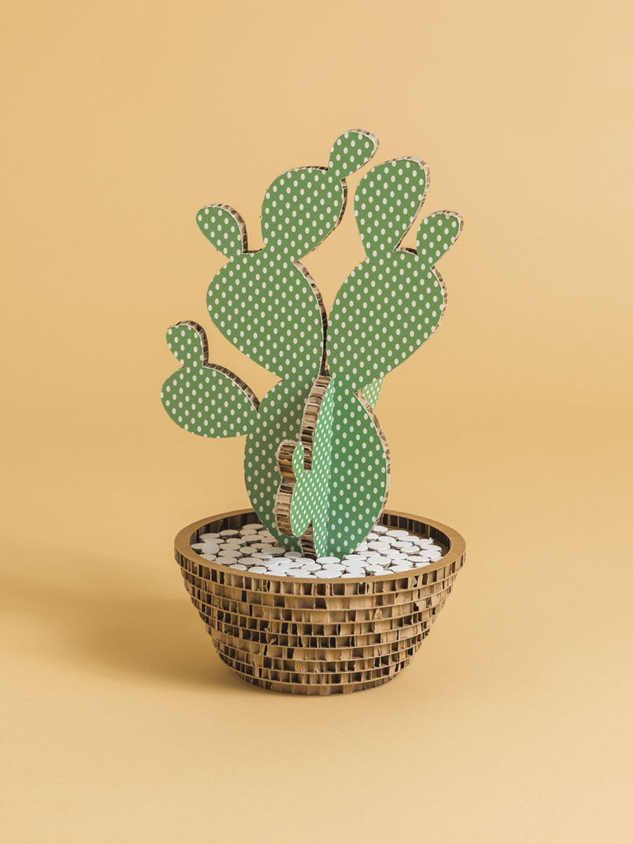Cactus Pois Salvia Misura Media in cartone alveolare Honeycomb Design