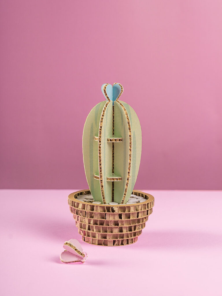 Cactus San Pedro Baby