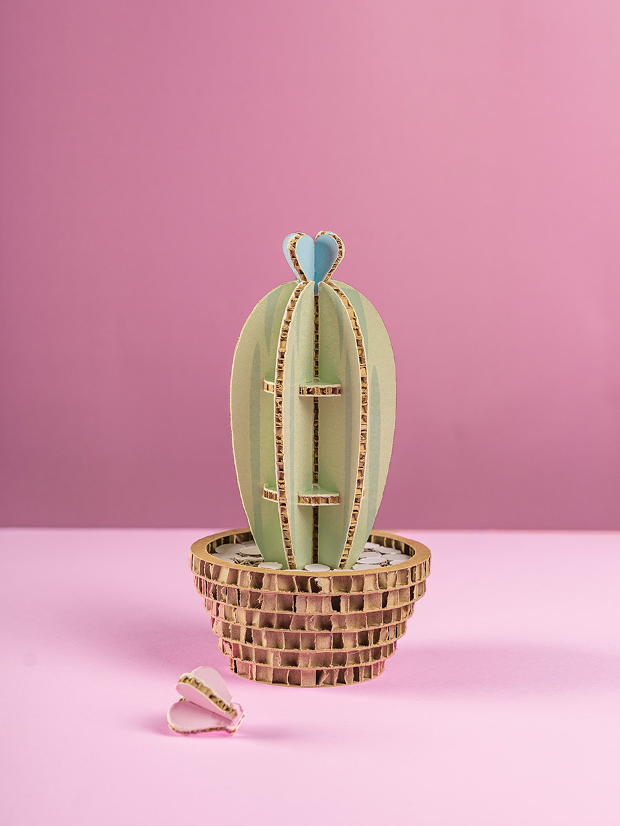 Cactus San Pedro Baby 1 in cartone alveolare Honeycomb Design