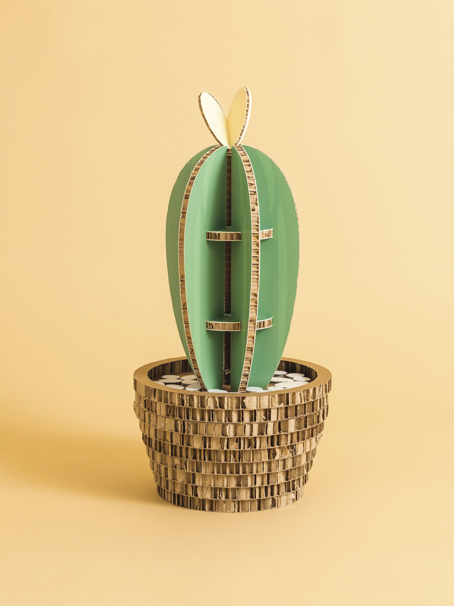 Cactus San Pedro Bold in cartone alveolare Honeycomb Design
