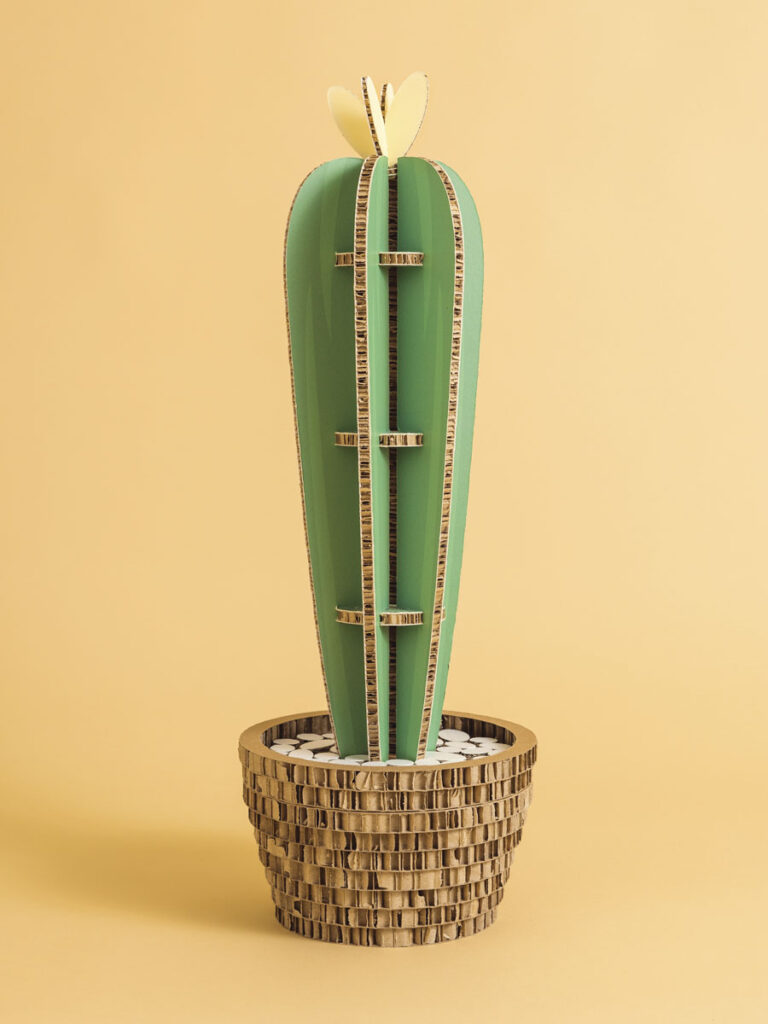 Cactus San Pedro - Skinny