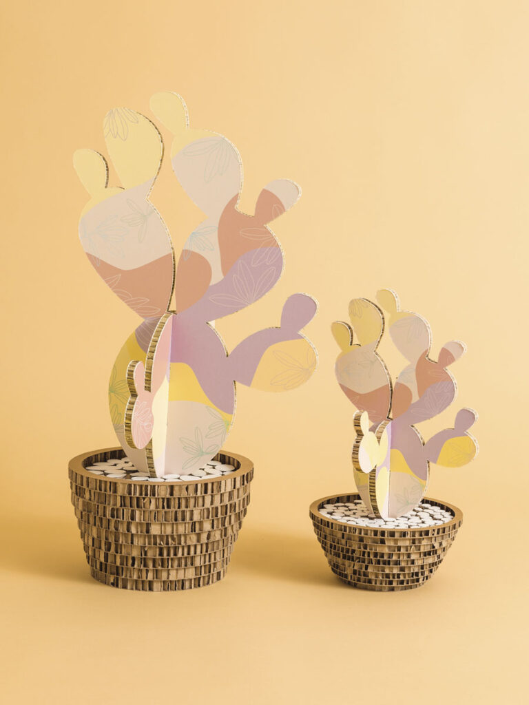 Cactus spring brush