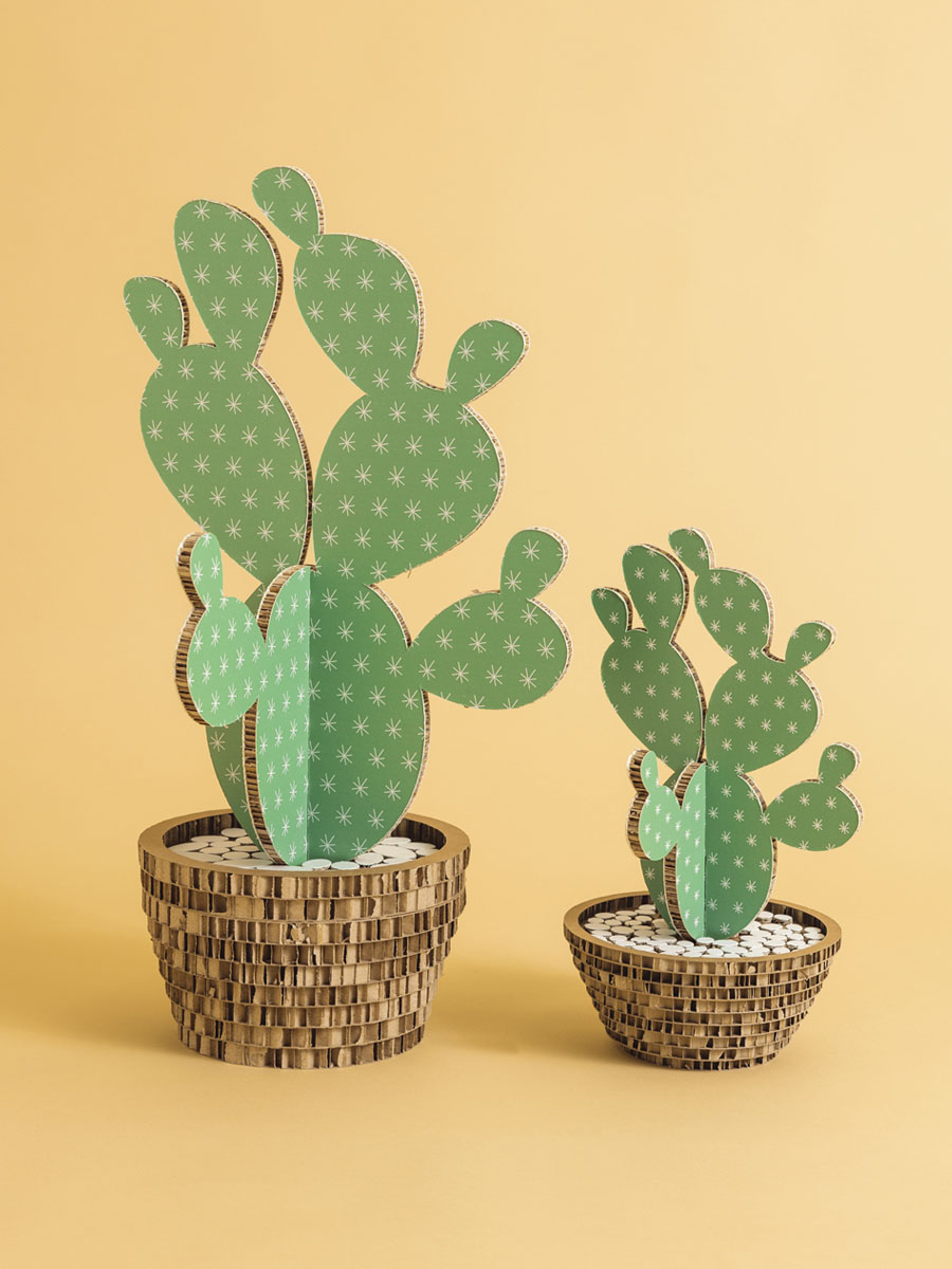 Cactus Stelline Misura Media Misura Grande in cartone alveolare Honeycomb Design
