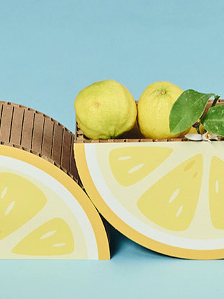 Vaso fetta di Limone set 2 pz
