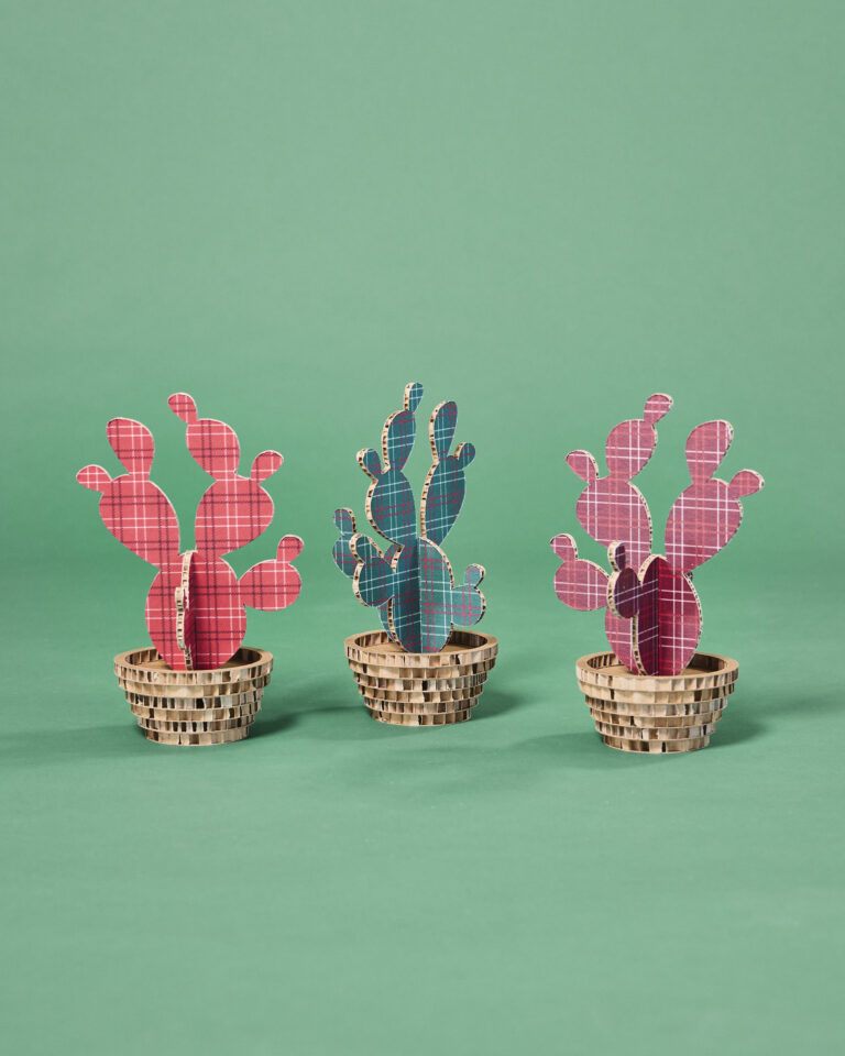 Cactus mini Tartan set 3 pz